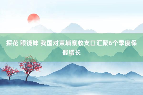 探花 眼镜妹 我国对柬埔寨收支口汇聚6个季度保握增长