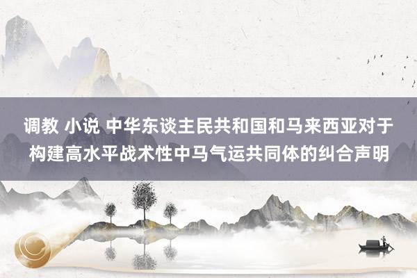 调教 小说 中华东谈主民共和国和马来西亚对于构建高水平战术性中马气运共同体的纠合声明