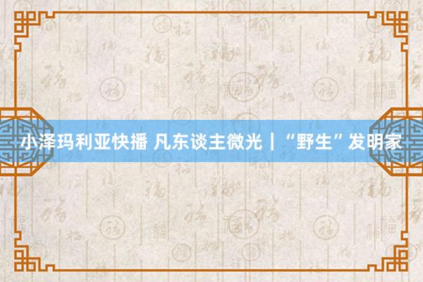 小泽玛利亚快播 凡东谈主微光｜“野生”发明家