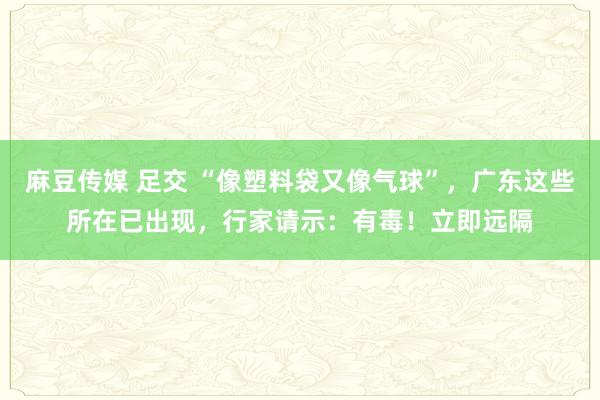 麻豆传媒 足交 “像塑料袋又像气球”，广东这些所在已出现，行家请示：有毒！立即远隔