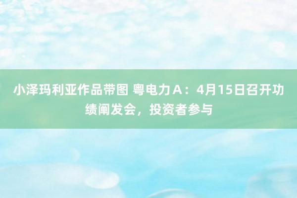 小泽玛利亚作品带图 粤电力Ａ：4月15日召开功绩阐发会，投资者参与