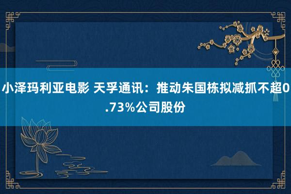 小泽玛利亚电影 天孚通讯：推动朱国栋拟减抓不超0.73%公司股份