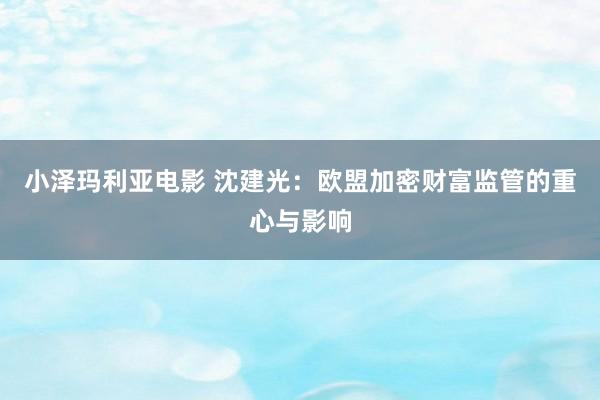 小泽玛利亚电影 沈建光：欧盟加密财富监管的重心与影响
