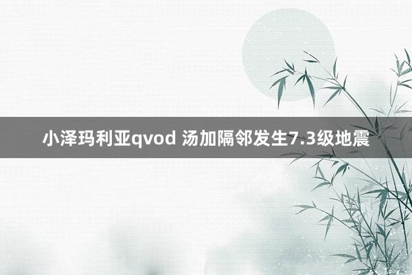 小泽玛利亚qvod 汤加隔邻发生7.3级地震