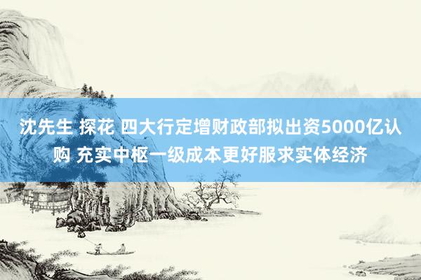 沈先生 探花 四大行定增财政部拟出资5000亿认购 充实中枢一级成本更好服求实体经济