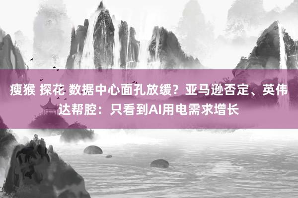瘦猴 探花 数据中心面孔放缓？亚马逊否定、英伟达帮腔：只看到AI用电需求增长