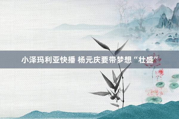 小泽玛利亚快播 杨元庆要带梦想“壮盛”